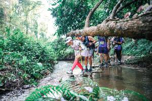 BIB: 
                            <button type="button" onclick="openModal(25460777)" class="btn btn-primary btn-sm float-right btn-popup" data-toggle="modal" data-target=".modal-high-quality">
                        <i class="fas fa-shopping-cart"></i> Add to Cart
                    </button>
                                            <button type="button" onclick="isThisMe(25460777, true)" class="btn btn-success btn-sm float-right btn-popup btn-isme hidden" data-toggle="tooltip" data-placement="bottom" title="นี่คือรูปของคุณใช่ไหม คลิกที่นี่เพื่อเอาเข้าอัลบั้ม">
                        <i class="fas fa-plus"></i> Add to album
                    </button>
                    <button type="button" onclick="isThisMe(25460777, false)" class="btn btn-warning btn-sm float-right btn-popup btn-isnotme hidden">
                        <i class="fas fa-ban"></i> Remove from album
                    </button>